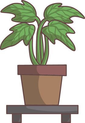 盆景盆栽