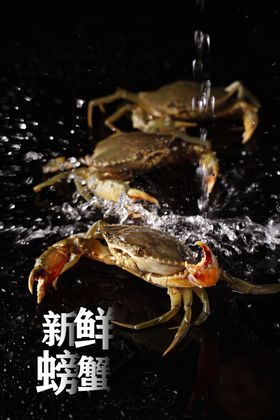 新鲜螃蟹