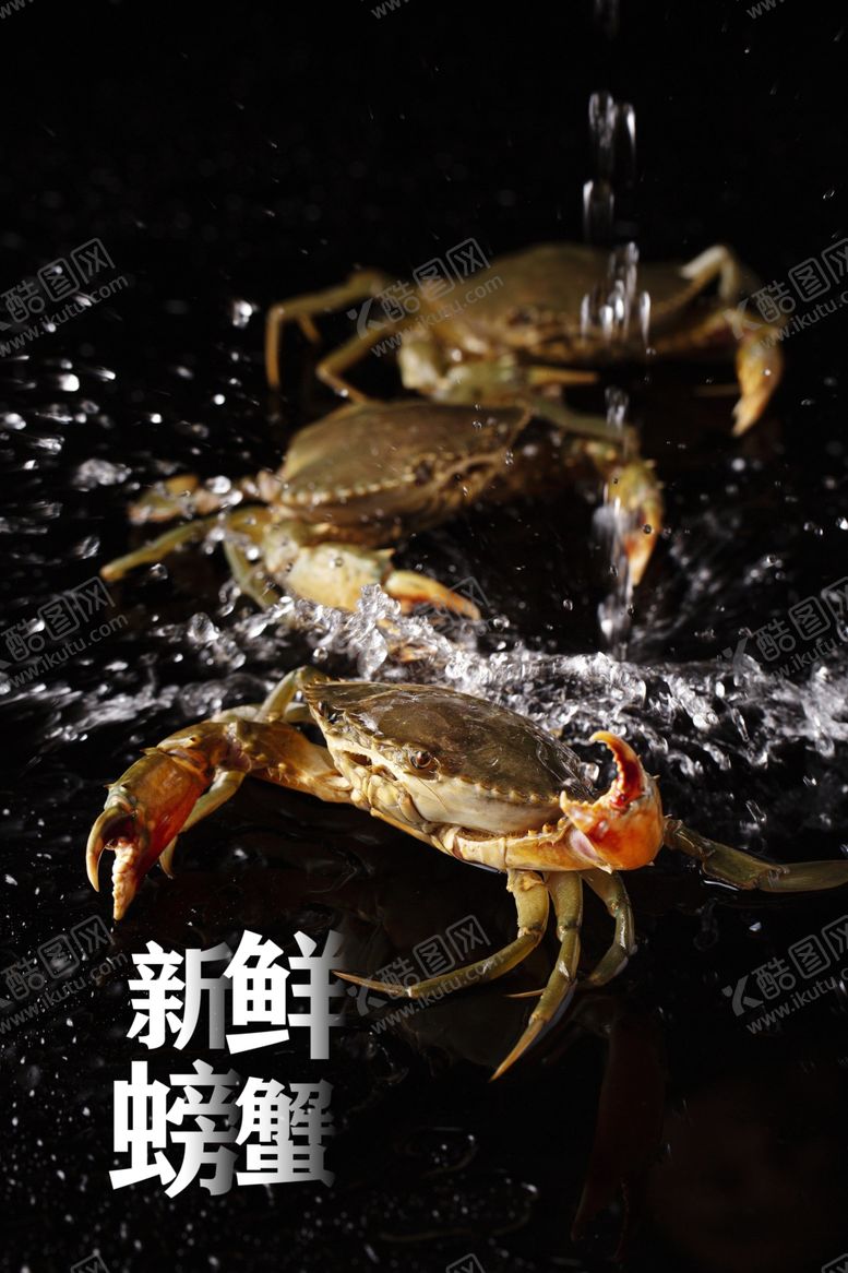 编号：53686107030059478571【酷图网】源文件下载-新鲜螃蟹