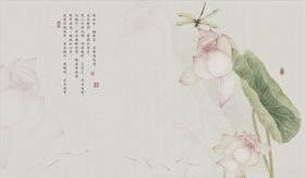 手绘蜻蜓荷花