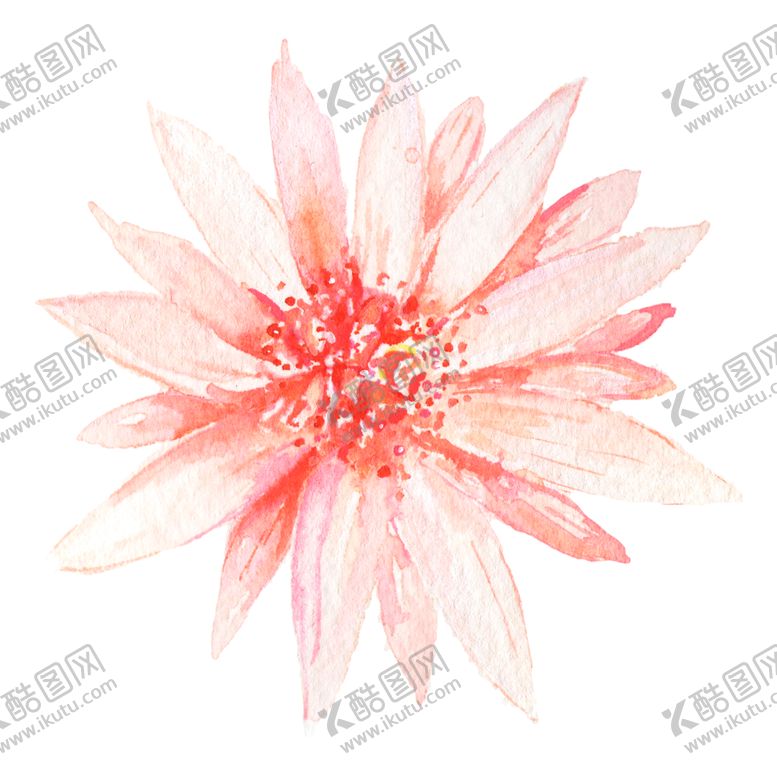 编号：40798704241328447587【酷图网】源文件下载-北欧小清新水彩花朵插画