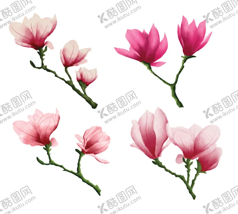 编号：50193810060220065713【酷图网】源文件下载-卡通玉兰花