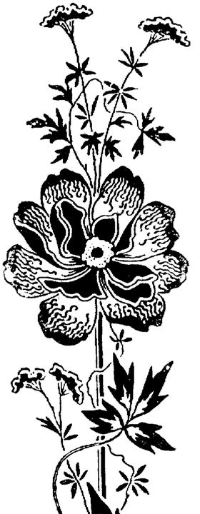 花纹边框