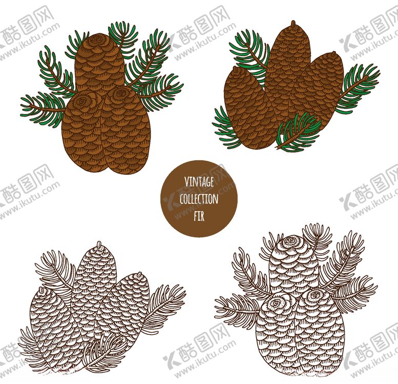 编号：41646606280637412719【酷图网】源文件下载-植物线稿