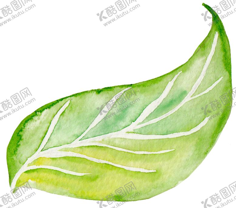 编号：58520010091829186845【酷图网】源文件下载-水彩植物