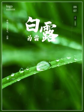 白露霜降单张活动