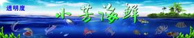 海鲜背景