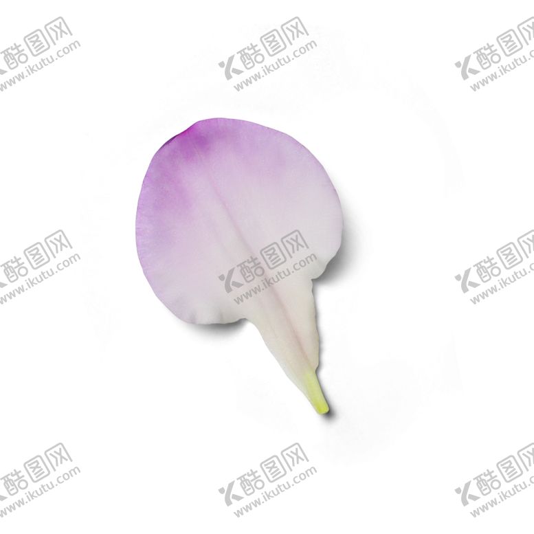 编号：70205910260723456333【酷图网】源文件下载-花瓣
