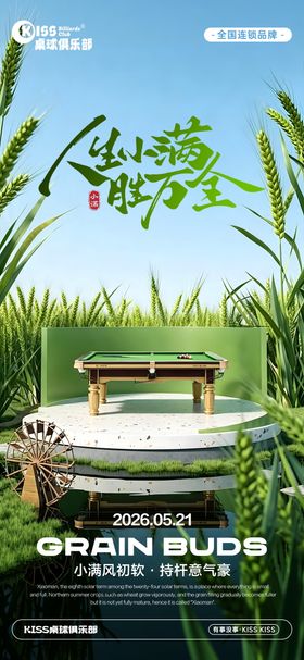 台球小满节气海报