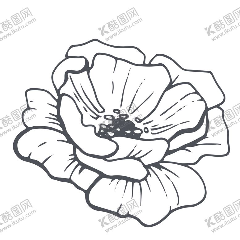 编号：35648509230042489143【酷图网】源文件下载-手绘植物