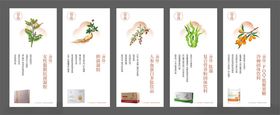 草药图片文字排版展示产品信息海