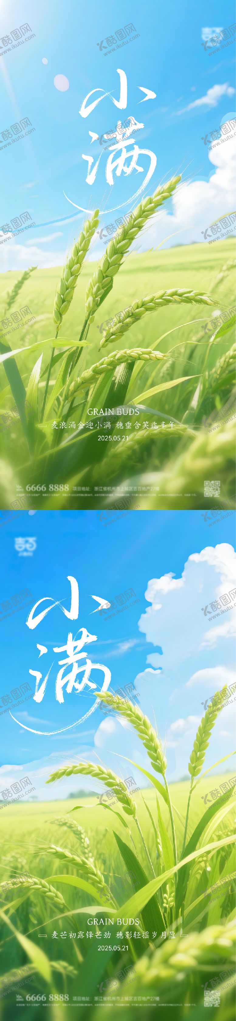 编号：10175905052311226666【酷图网】源文件下载-小满节气海报