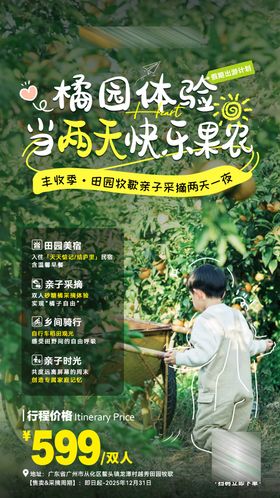 果园线条画风采摘海报