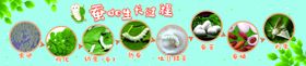 蚕的生长过程