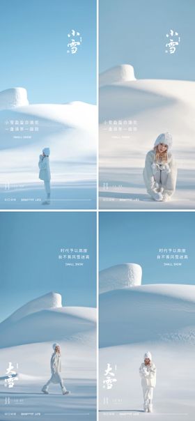 地产小雪大雪纯美景色海报