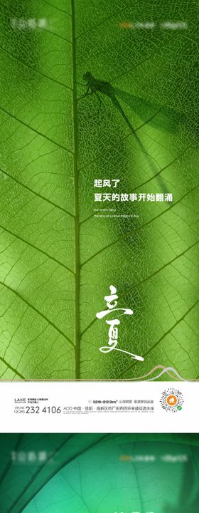 立夏海报蜻蜓二十四节气荷花