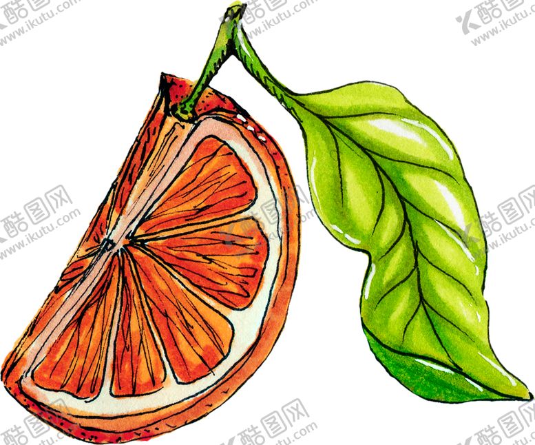 编号：23658310301122031713【酷图网】源文件下载-绿色装饰