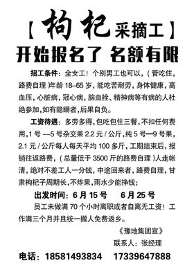 招工采摘枸杞海报喷绘