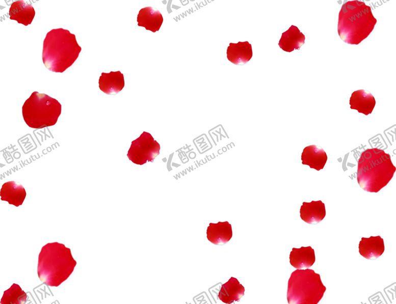 编号：10139810280858361439【酷图网】源文件下载-飘落的花瓣