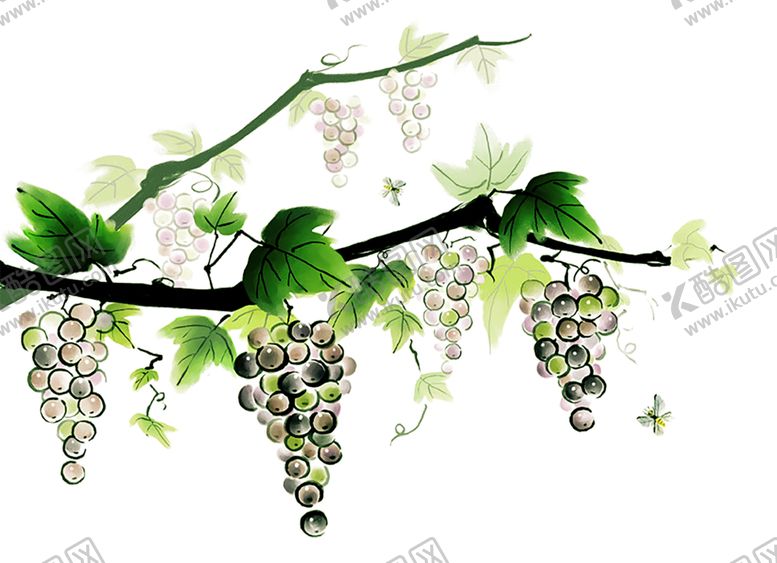 编号：53469910081127538279【酷图网】源文件下载-绿色装饰