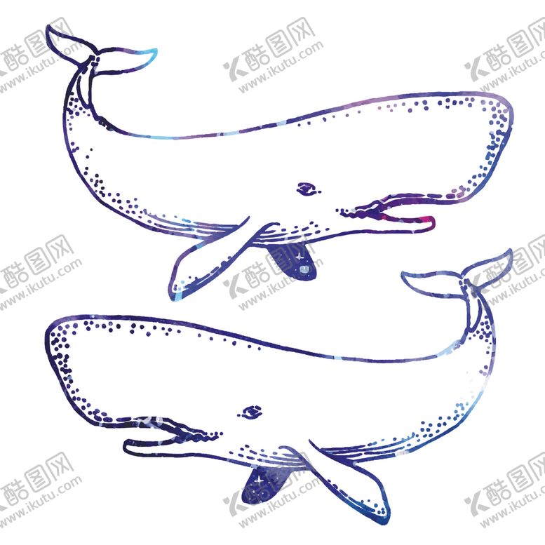 编号：22448509280401307455【酷图网】源文件下载-炫彩渐变鲸鱼图案