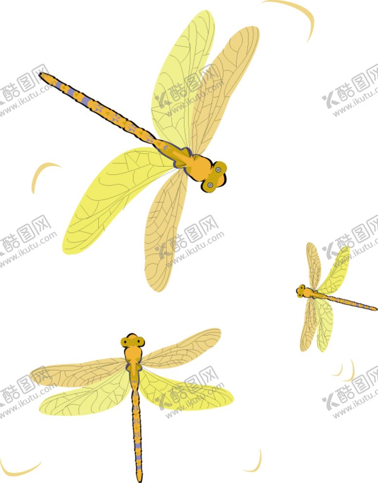 编号：62195305031212443666【酷图网】源文件下载-蜻蜓