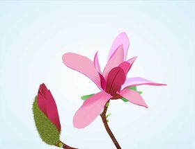 粉色矢量花朵树枝