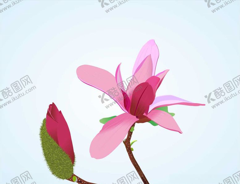 编号：98471410031517558578【酷图网】源文件下载-矢量粉色花朵