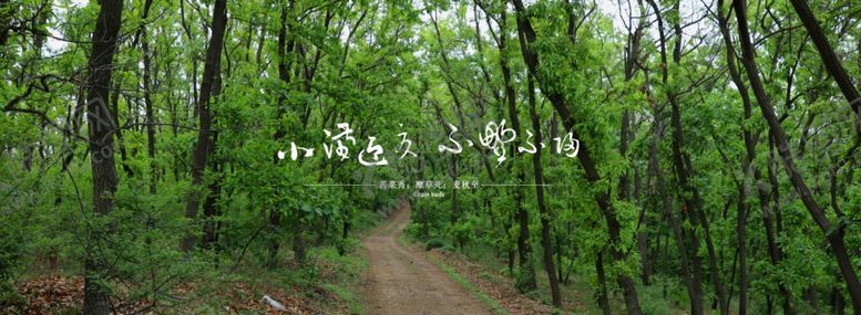 编号：50454109171833216247【酷图网】源文件下载-小满节气海报设计