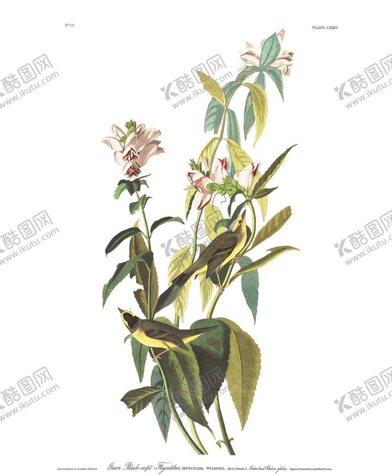编号：85753212061120228628【酷图网】源文件下载-油画