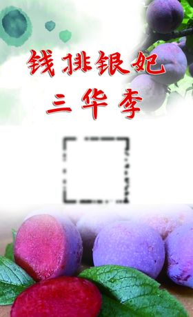 水果李子名片