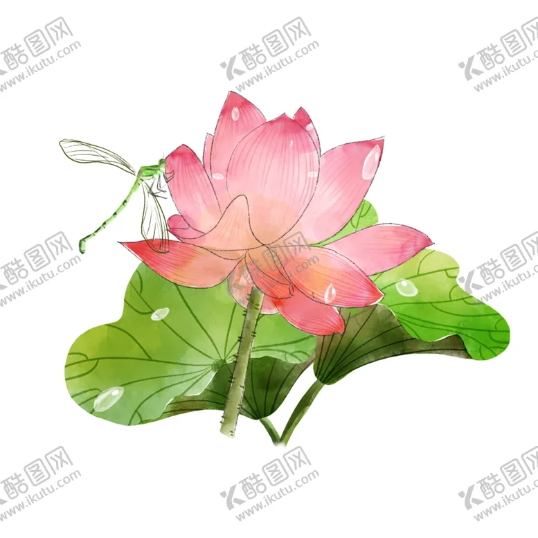 编号：16689604192024092576【酷图网】源文件下载-荷花荷叶插画