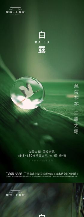 白露节气海报二十四系列植物