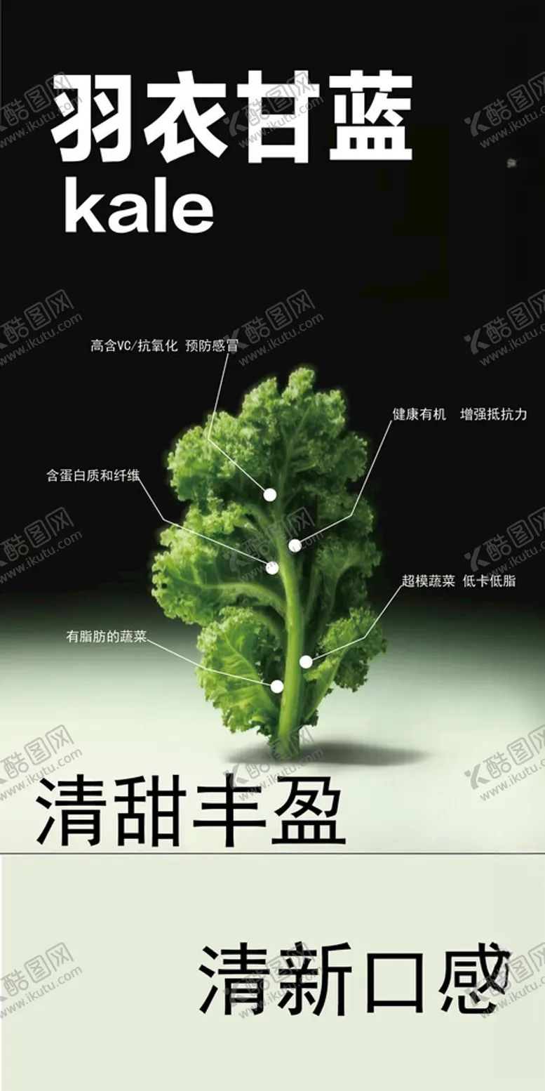 编号：33918702271424599320【酷图网】源文件下载-羽衣甘蓝