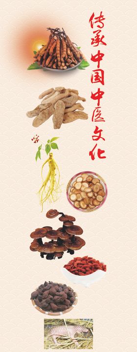 中医文化