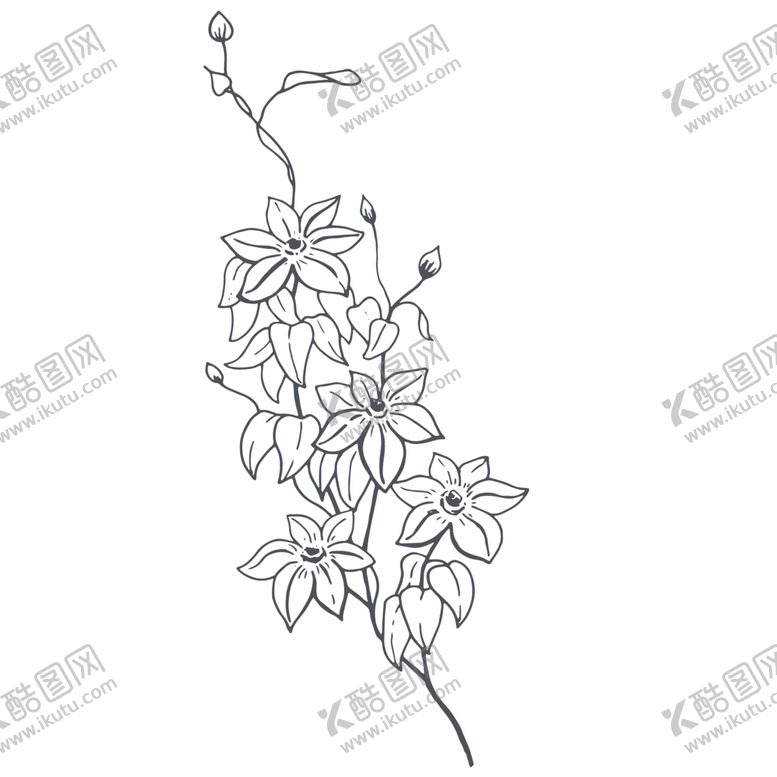 编号：27113007012100289417【酷图网】源文件下载-手绘植物