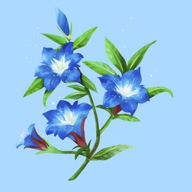 蓝色花朵插画
