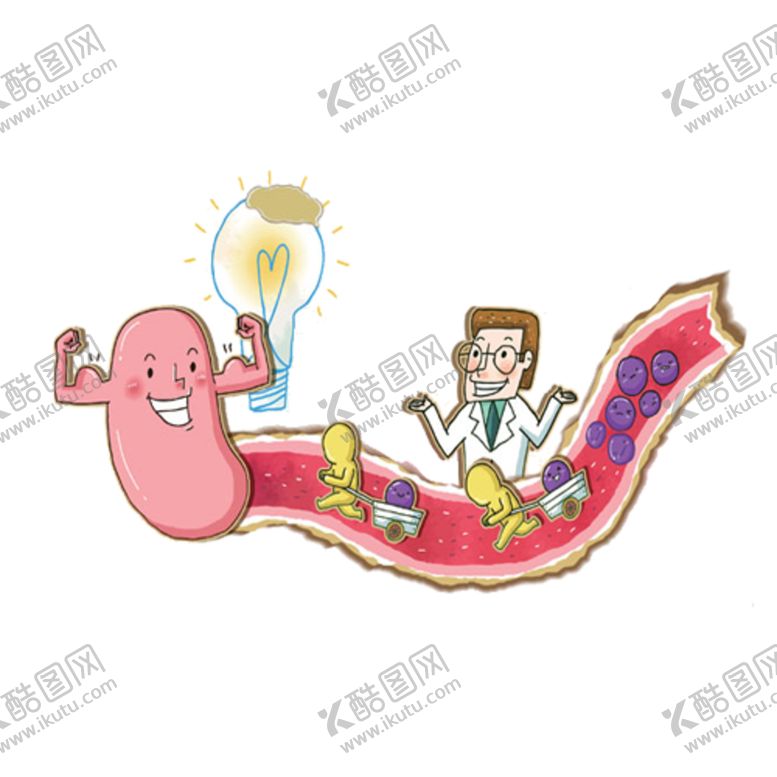 编号：94814609190338513858【酷图网】源文件下载-肠道