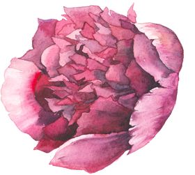 花卉