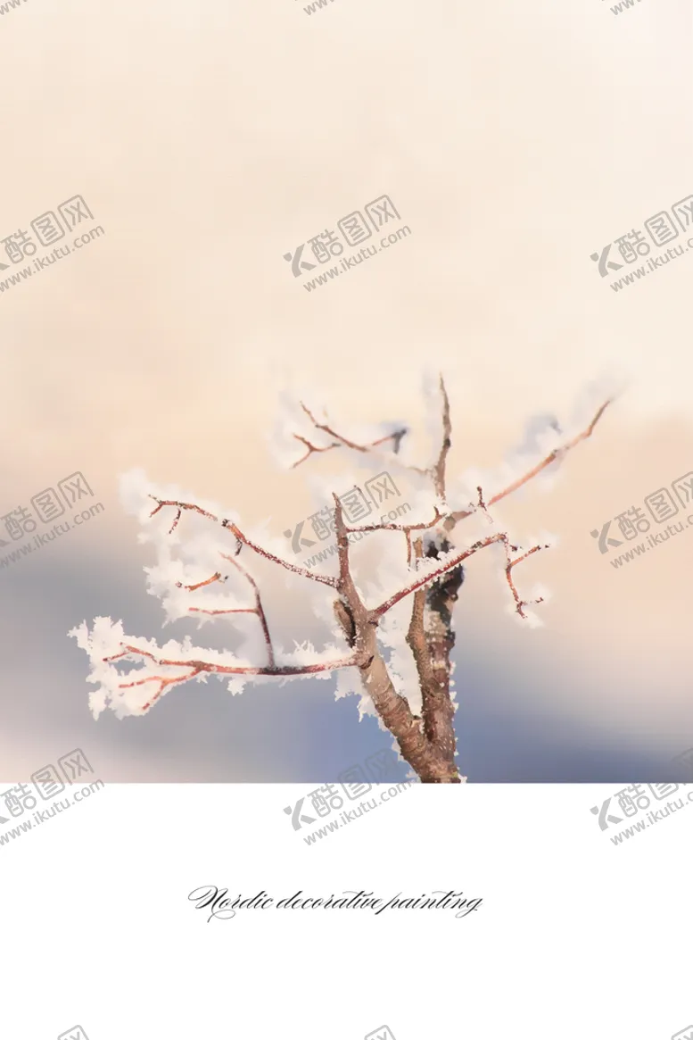 编号：15976209180117528534【酷图网】源文件下载-微观植物