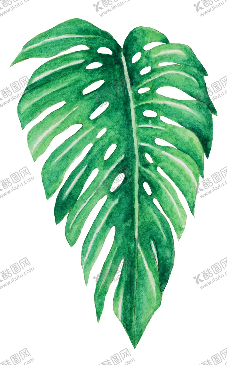 编号：89325207071539206295【酷图网】源文件下载-夏日水彩植物装饰图案