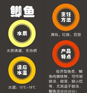 鲫鱼简介