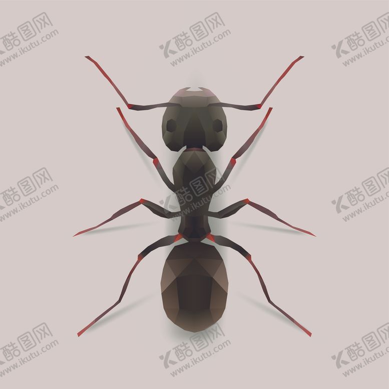 编号：71616607091127445360【酷图网】源文件下载-蚂蚁