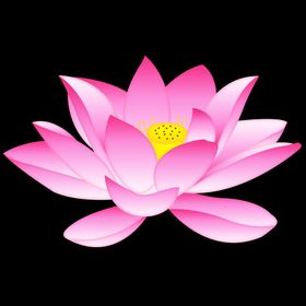 手绘矢量荷花莲花插画插图