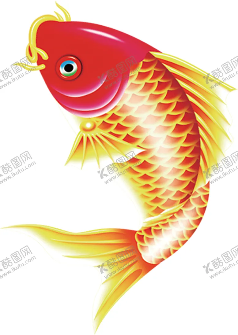 编号：21012902031415016896【酷图网】源文件下载-金锦鲤免扣图片