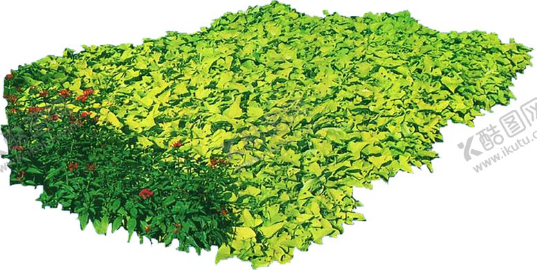 编号：93228411012107338320【酷图网】源文件下载-绿色植物