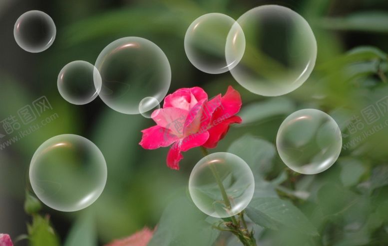 编号：55531809260315573715【酷图网】源文件下载-透明气泡