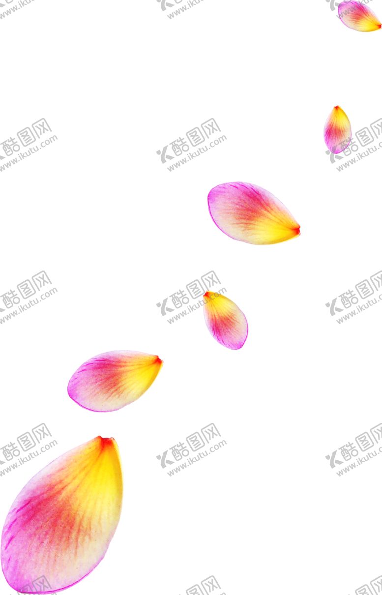 编号：32050707040358091886【酷图网】源文件下载-浪漫素材