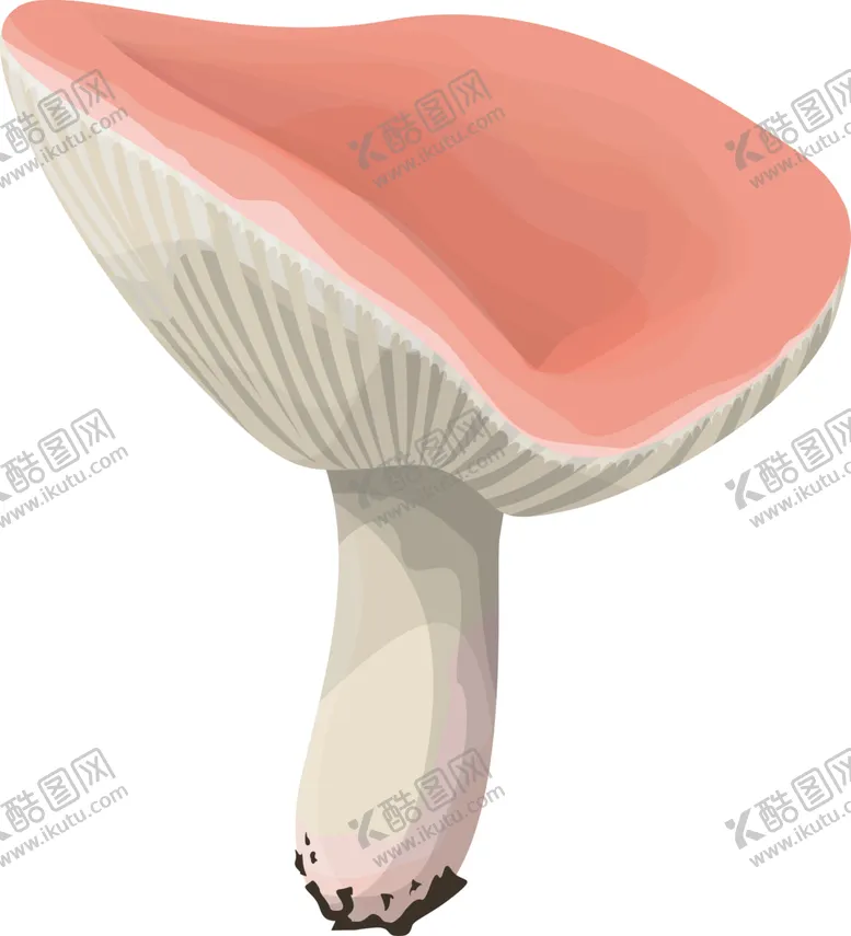 编号：20637102081942198237【酷图网】源文件下载-菌类植物