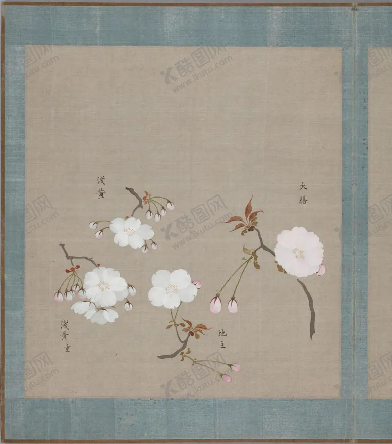 编号：16416603270412509415【酷图网】源文件下载-樱花